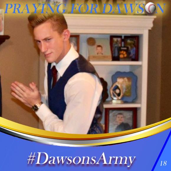 Meet your Posher, Sandy - Picture 1 of 1